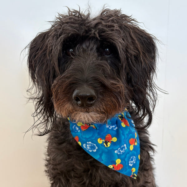 Dog Bandana - Over Collar Style - Buzzy