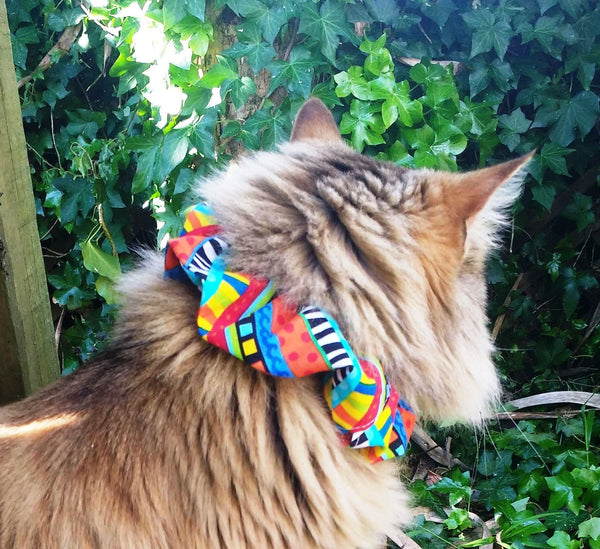 Cat Collar Cover - Cat Size - Bold multicoloured stripes