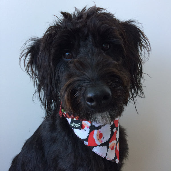 Dog Bandana - Tie On Style - Christmas Santas on black