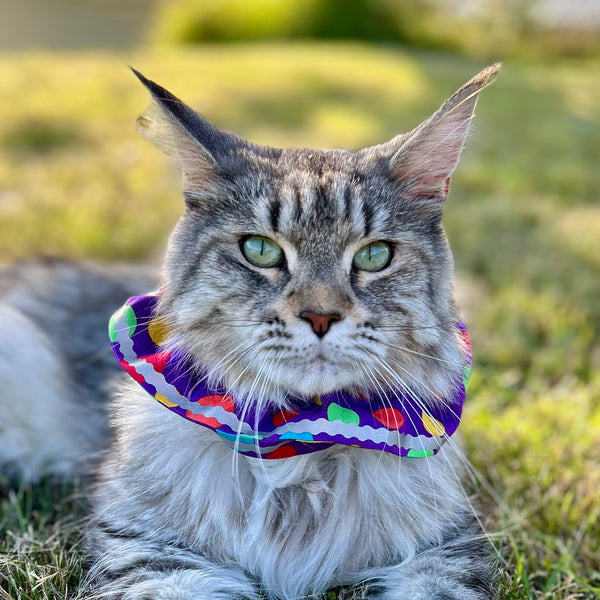 Cat Collar Cover - Wide Cat Size - Choice of fabrics