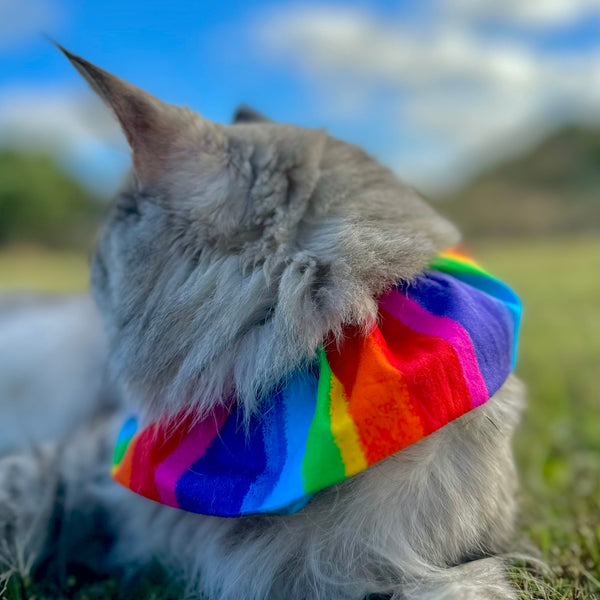 Cat Collar Cover - Wide Cat Size - Choice of fabrics