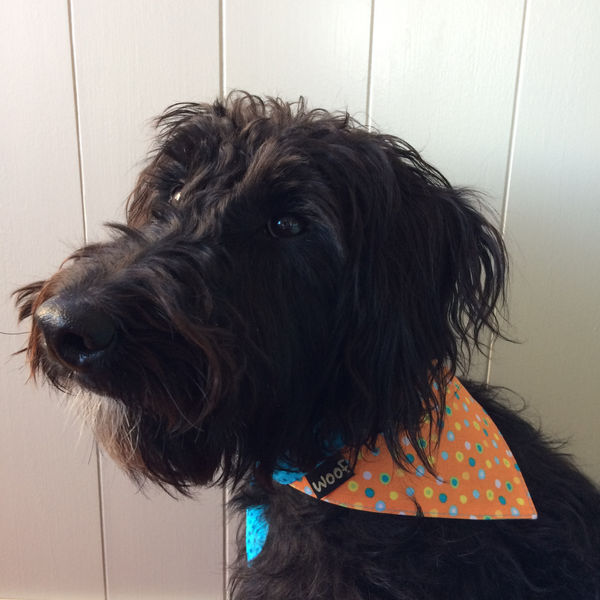 Dog Bandana - Tie on style