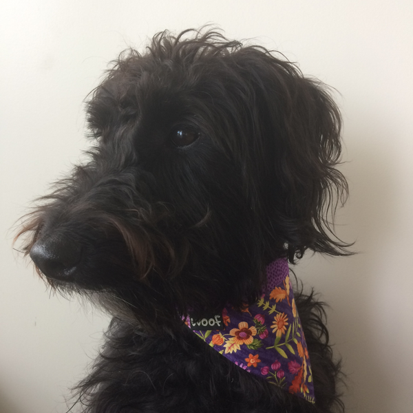 Dog Bandana - Tie on style