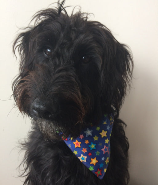 Dog Bandana - Tie on style