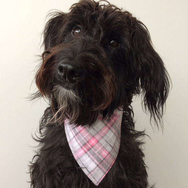 Dog Bandana - Tie on style