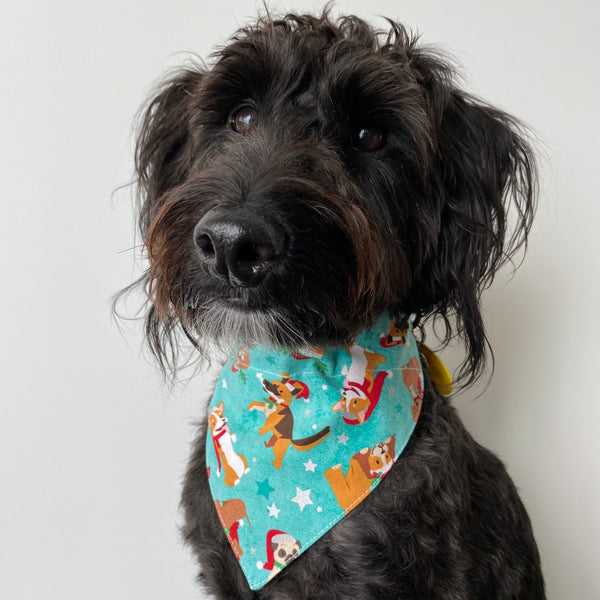 Dog Bandana - Over the collar style - Christmas