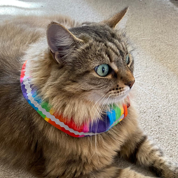 Reflective trim - Add-on for any cat collar cover