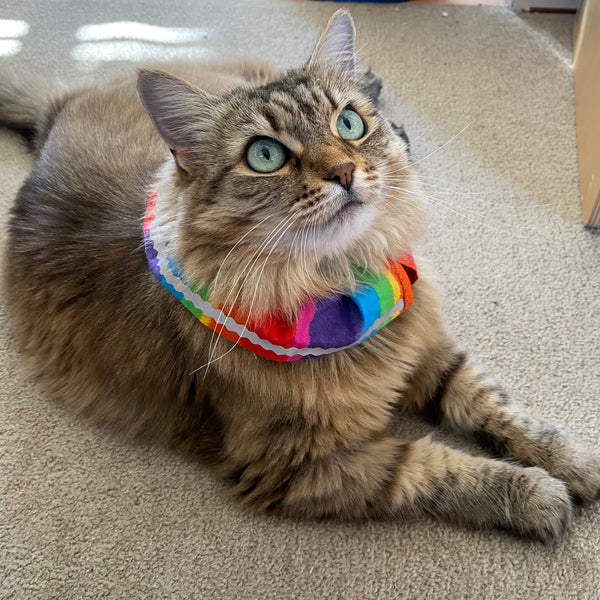 Reflective trim - Add-on for any cat collar cover