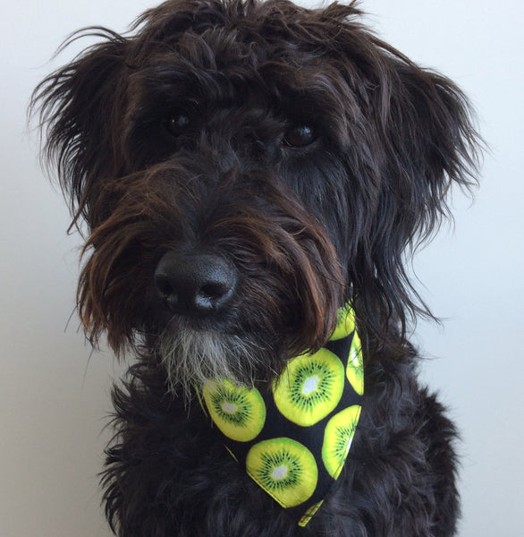Dog Bandana - Tie on style