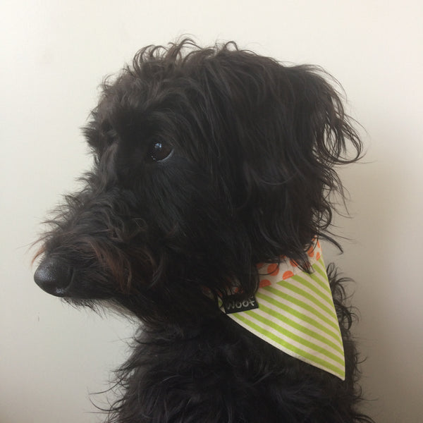 Dog Bandana - Tie on style