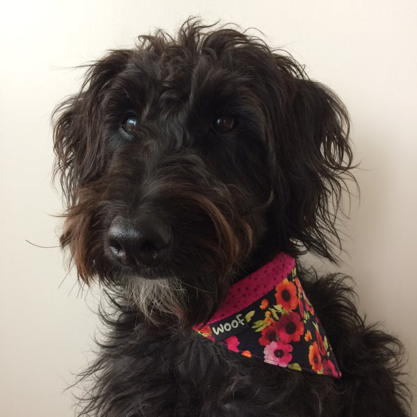 Dog Bandana - Tie on style