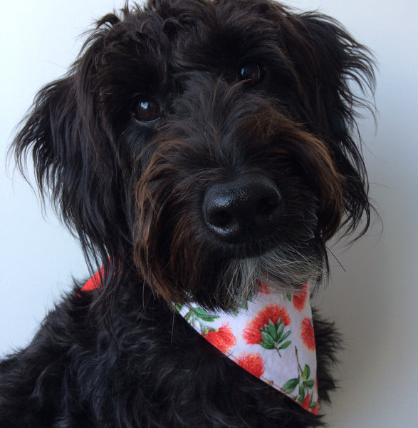 Dog Bandana - Tie on style