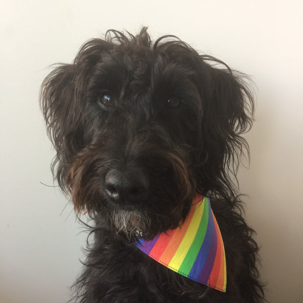 Dog Bandana - Tie on style
