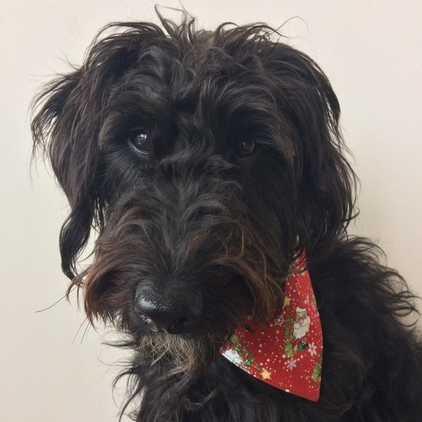 Dog Bandana - Tie on style - Christmas