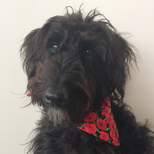 Dog Bandana - Tie on style